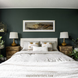 bedroom with dark green walls and bohemian decor with plants